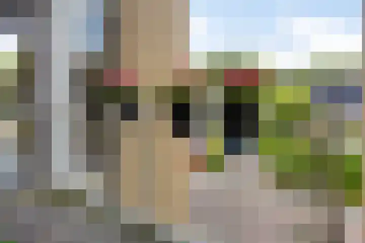 Adriaen Willaertstraat 47 's-Hertogenbosch thumbnail 26