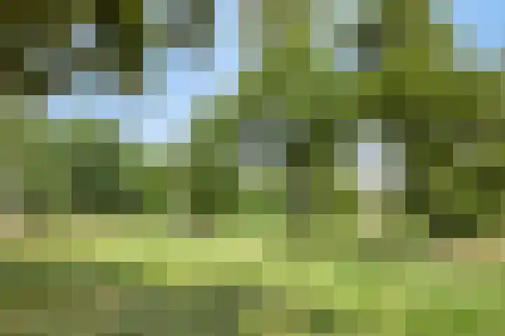 Adriaen Willaertstraat 47 's-Hertogenbosch thumbnail 31