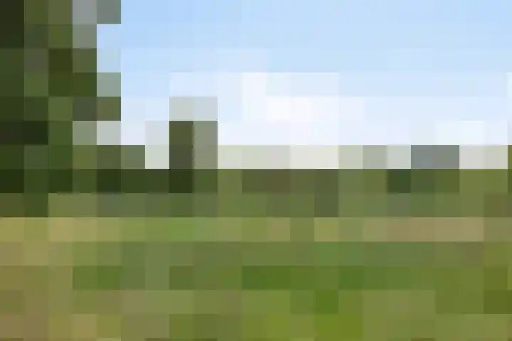 Adriaen Willaertstraat 47 's-Hertogenbosch thumbnail 32