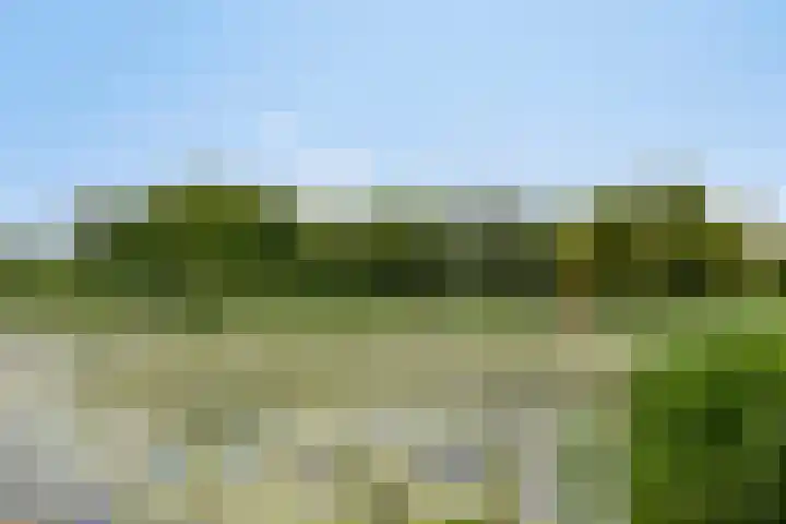 Adriaen Willaertstraat 47 's-Hertogenbosch thumbnail 33
