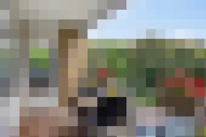 Adriaen Willaertstraat 47 's-Hertogenbosch thumbnail 9