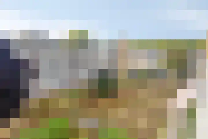Adriaen Willaertstraat 53 's-Hertogenbosch thumbnail 4