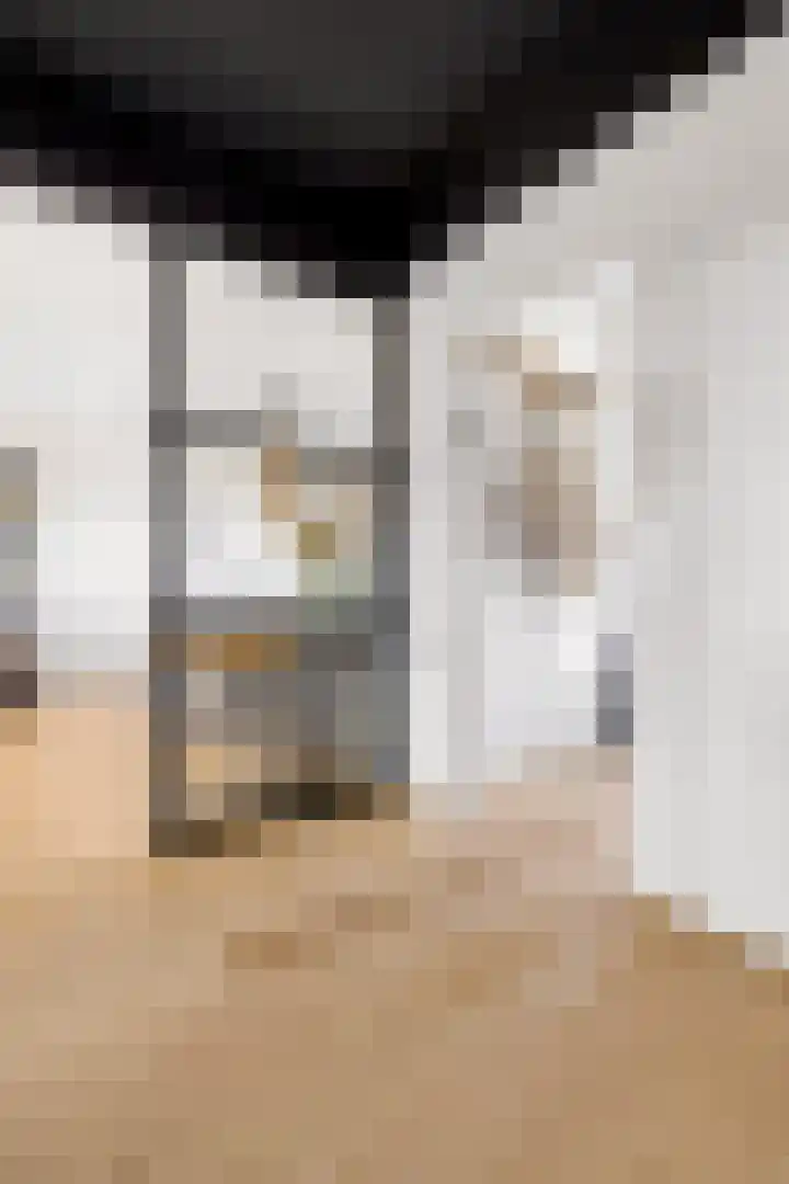 Adriaen Willaertstraat 57 's-Hertogenbosch thumbnail 16
