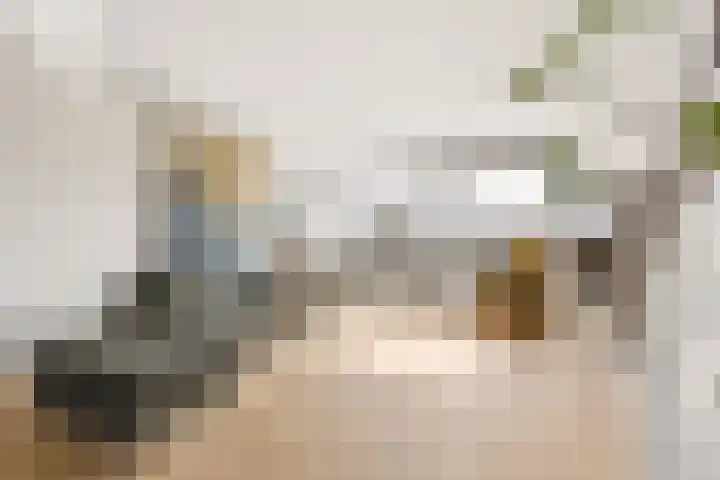 Adriaen Willaertstraat 57 's-Hertogenbosch thumbnail 6