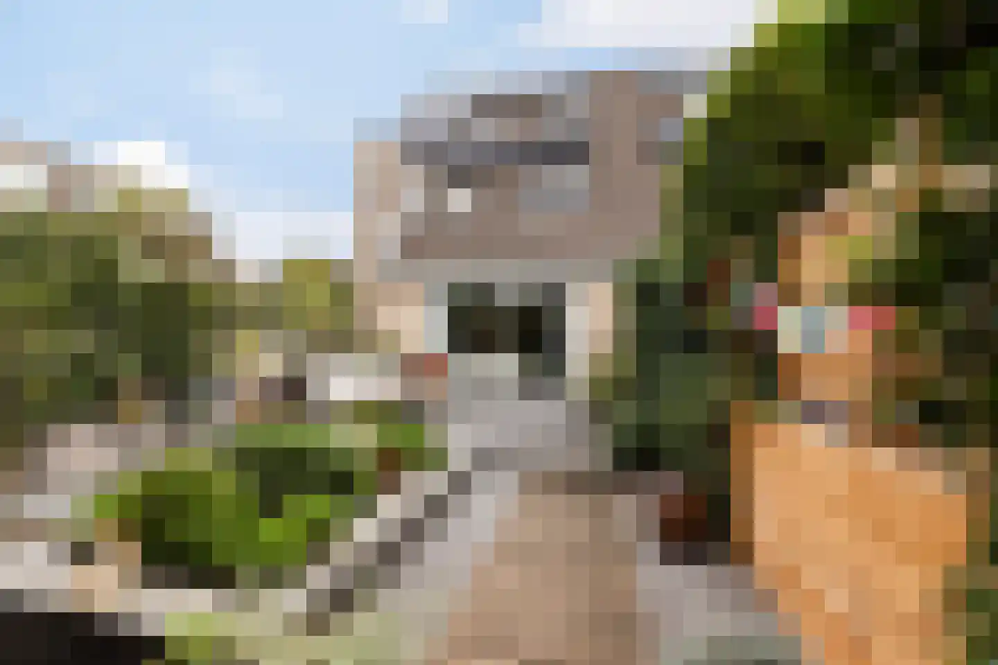 Adriana Noorlandersingel 103 Rotterdam thumbnail 37