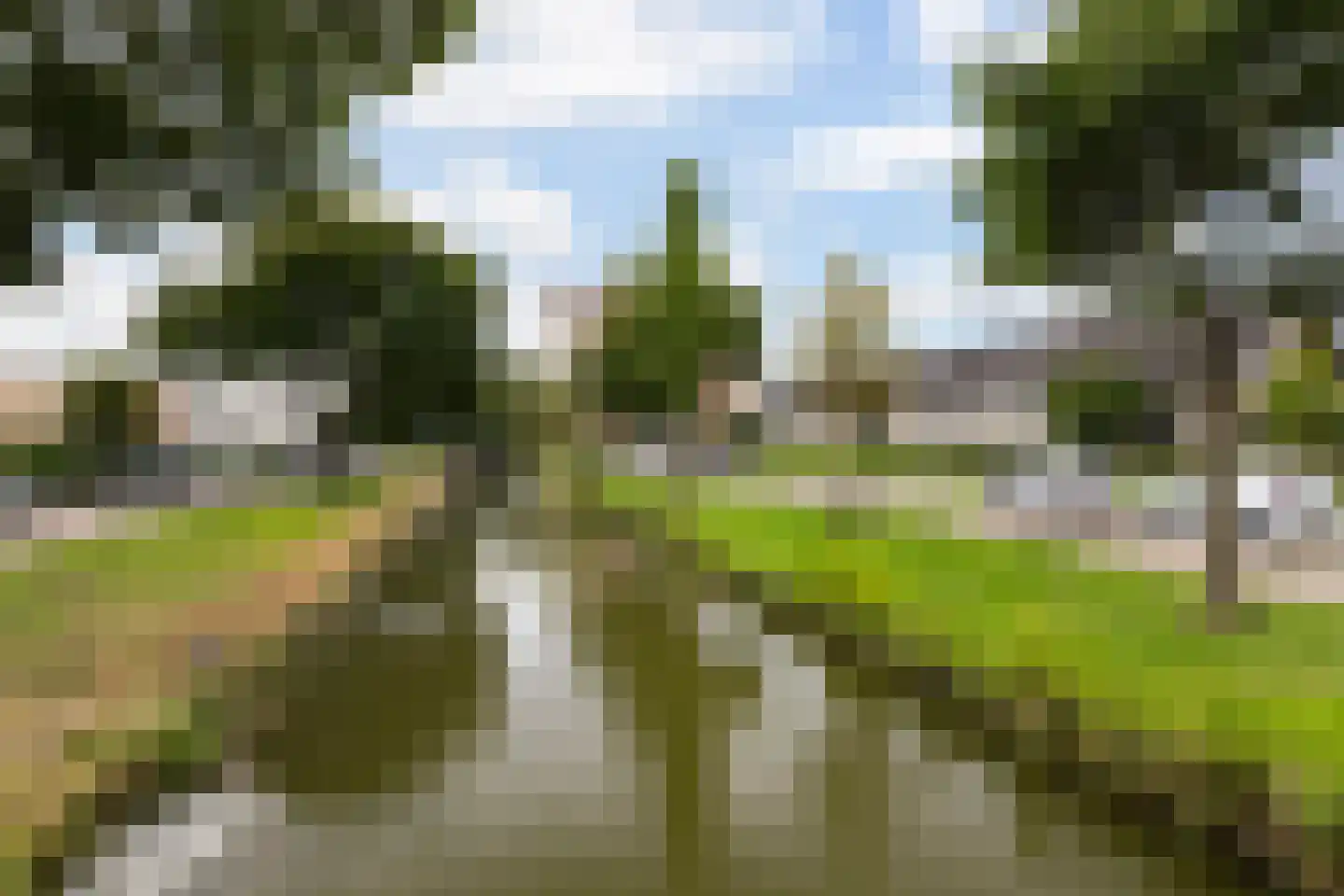 Adriana Noorlandersingel 103 Rotterdam thumbnail 44