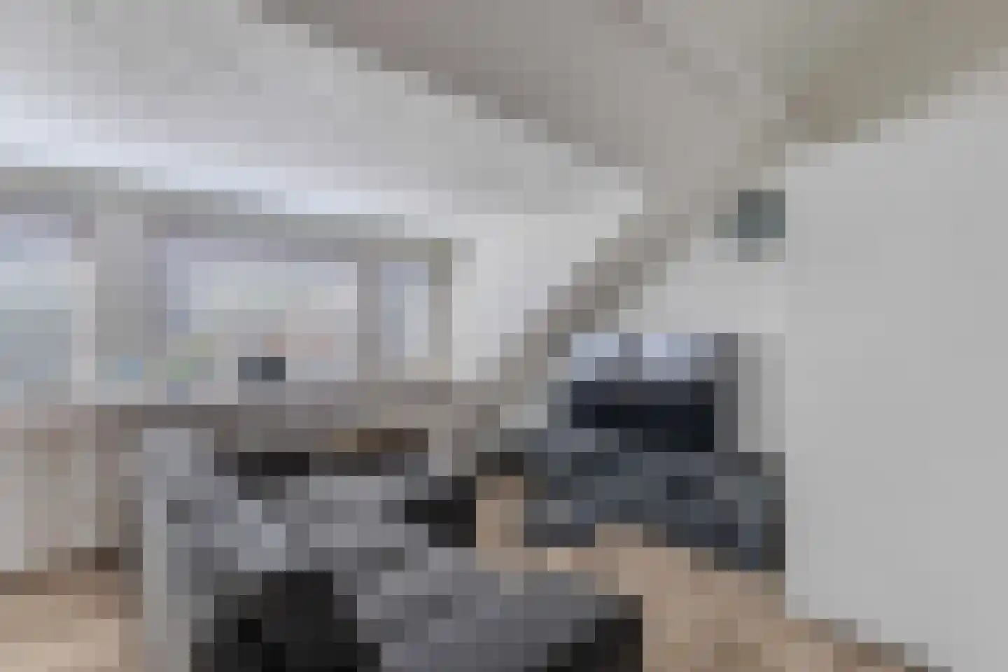 Adriana Nozemanstraat 40 Almere thumbnail 34