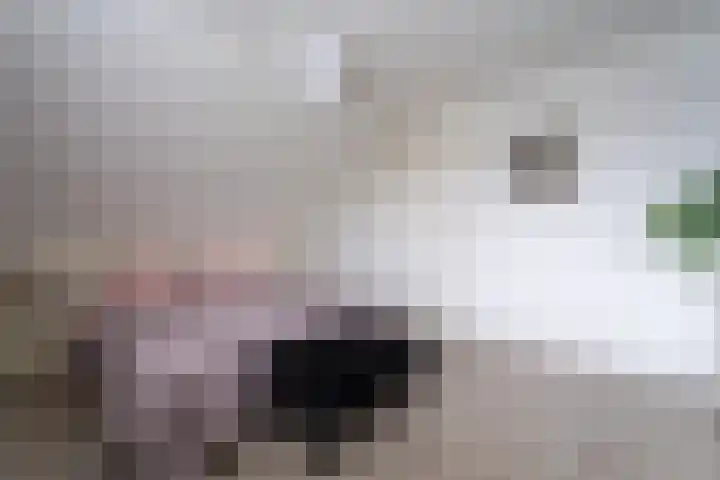 Adriana van Roonhof 10 Rhoon thumbnail 33