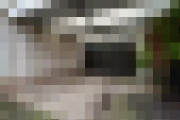 Adriana van Roonhof 10 Rhoon thumbnail 8