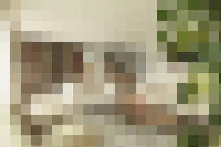 Adriana van Roonhof 45 Rhoon thumbnail 15