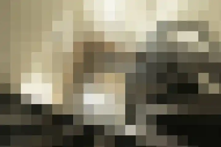 Adriana van Roonhof 45 Rhoon thumbnail 34