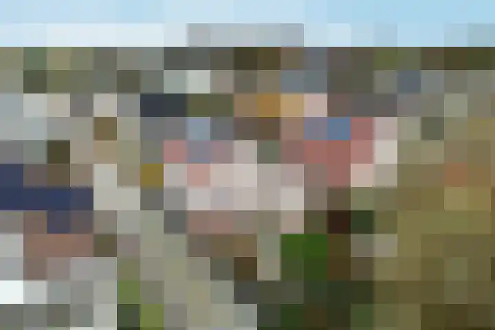 Adriana van Roonhof 45 Rhoon thumbnail 4