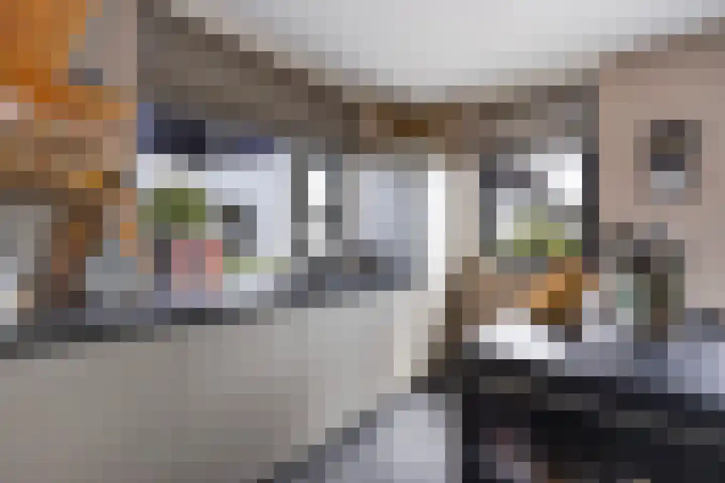 Adriana van Roonlaan 122 Den Haag thumbnail 13