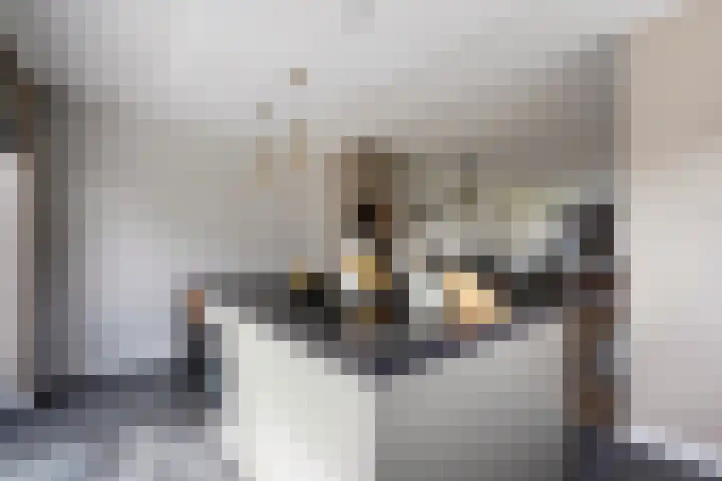 Adriana van Roonlaan 122 Den Haag thumbnail 15