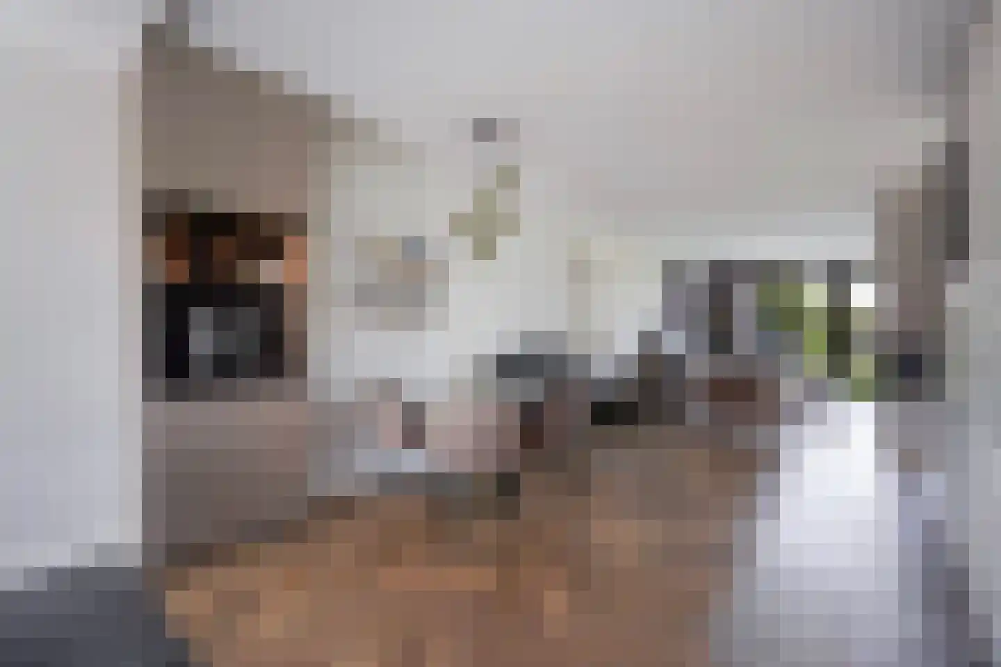 Adriana van Roonlaan 122 Den Haag thumbnail 16