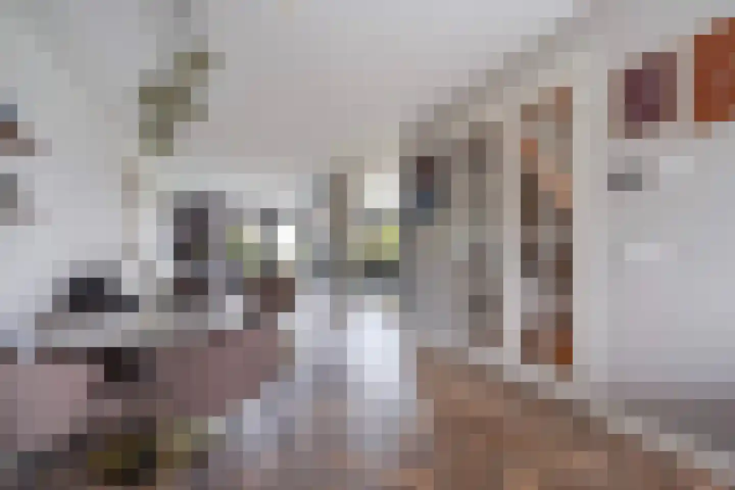 Adriana van Roonlaan 122 Den Haag thumbnail 17