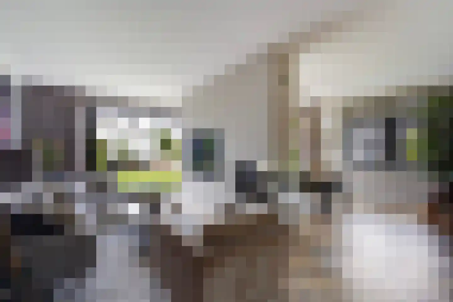 Adriana van Roonlaan 122 Den Haag thumbnail 18