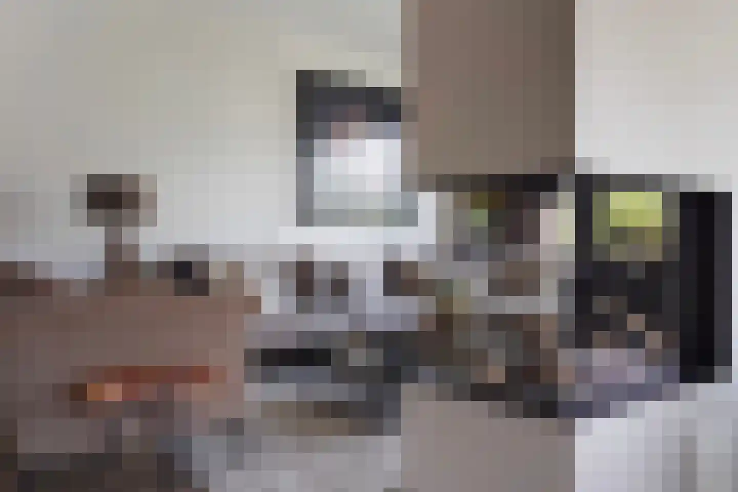 Adriana van Roonlaan 122 Den Haag thumbnail 19