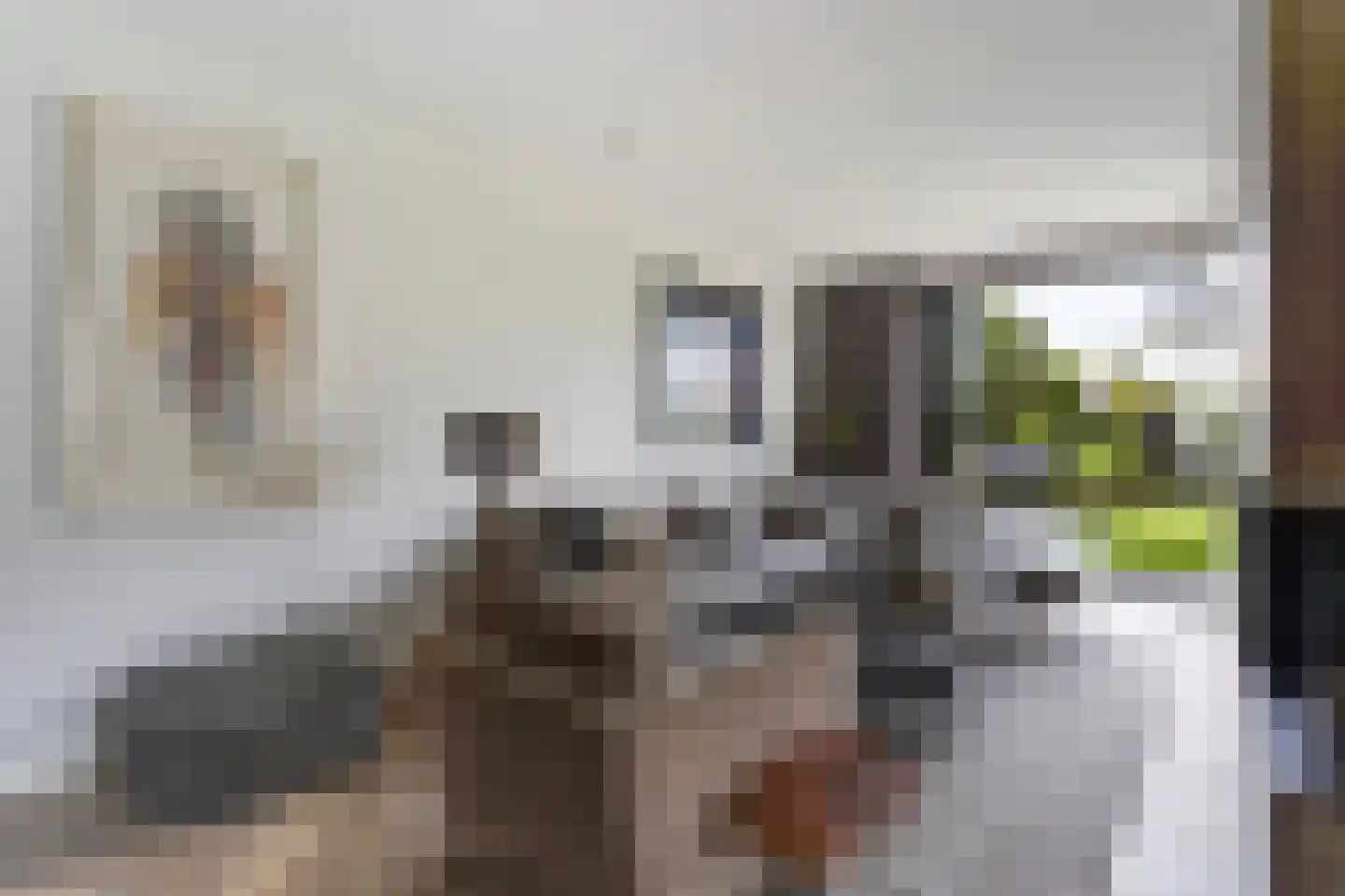 Adriana van Roonlaan 122 Den Haag thumbnail 20