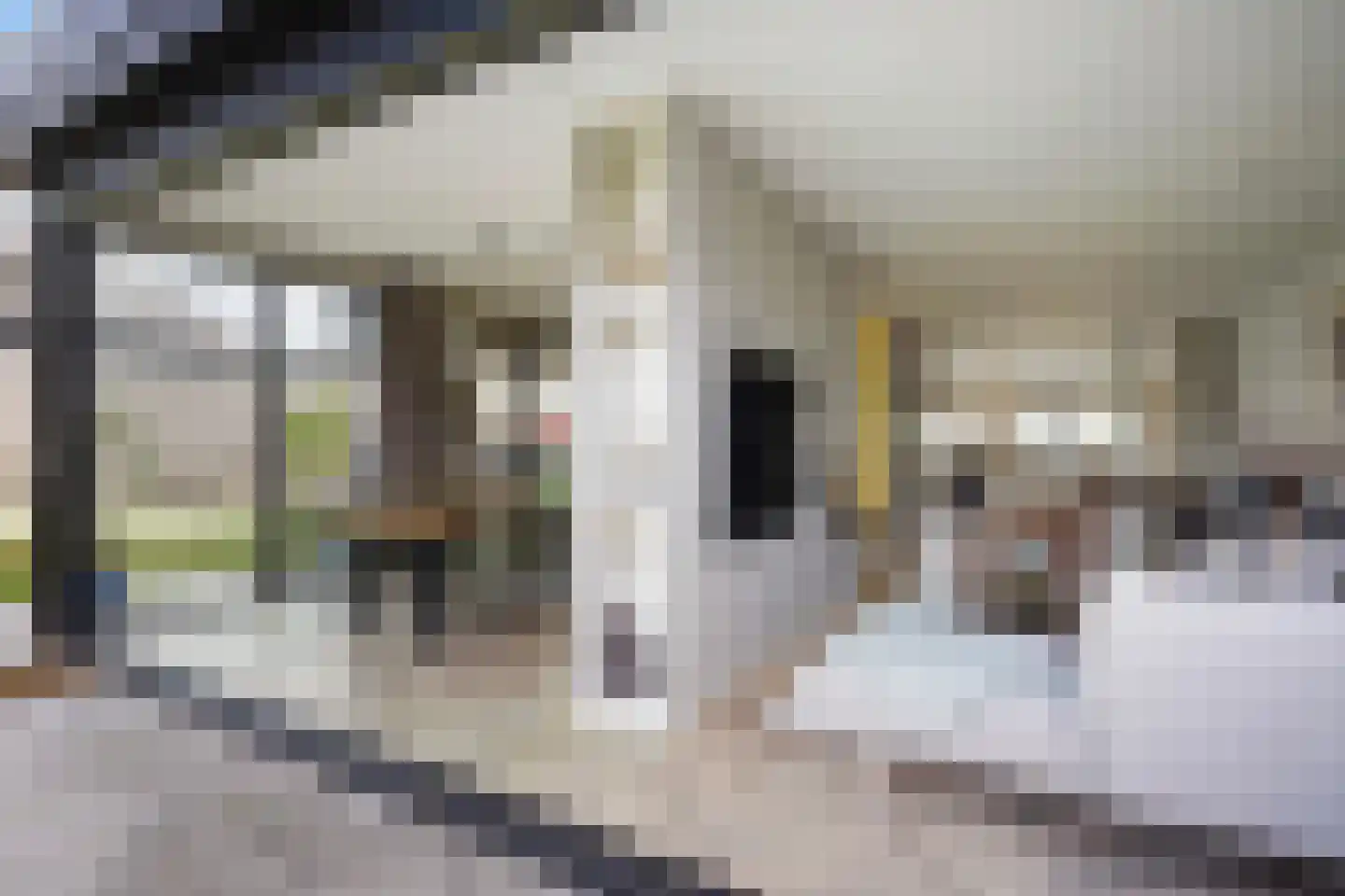 Adriana van Roonlaan 122 Den Haag thumbnail 22