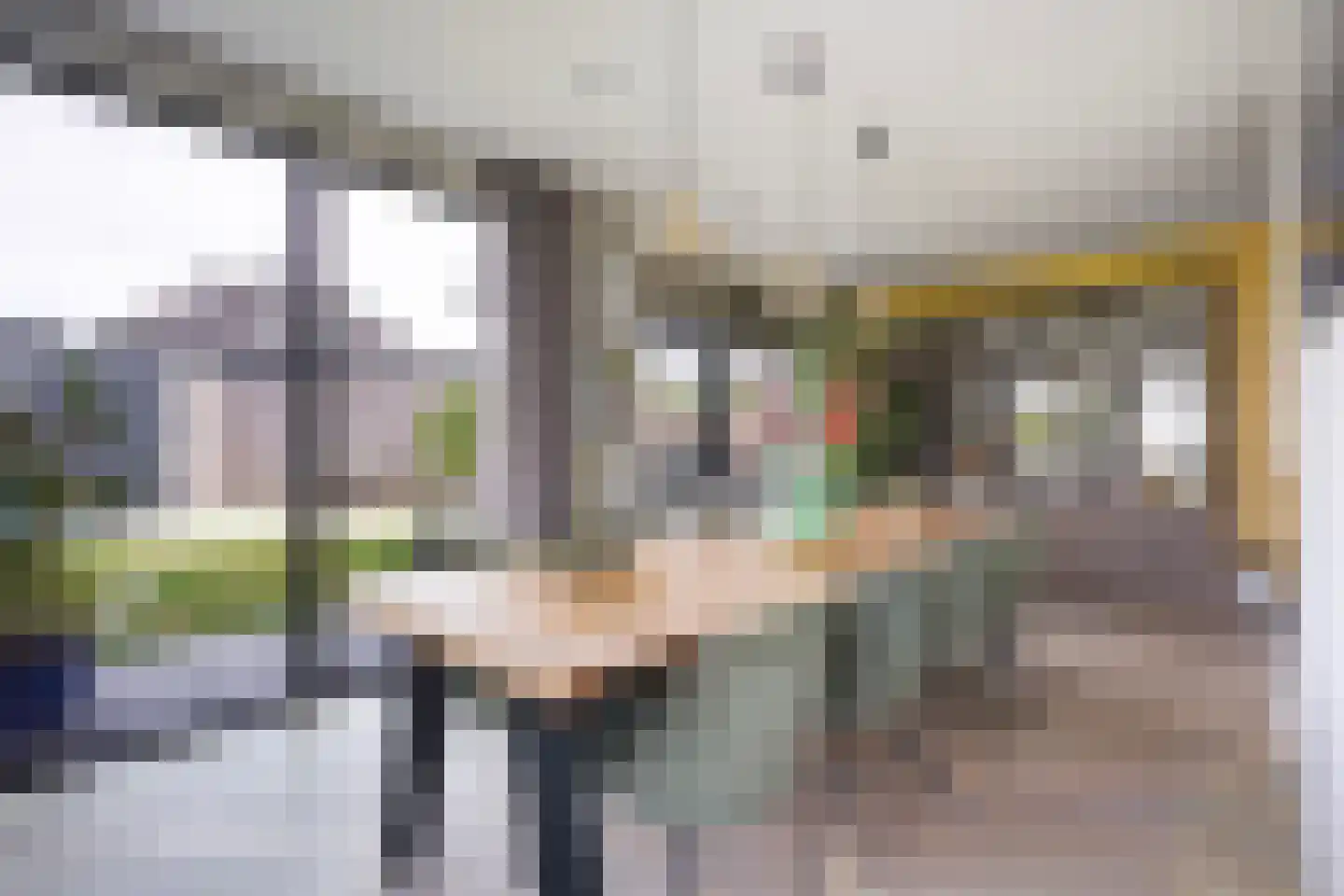 Adriana van Roonlaan 122 Den Haag thumbnail 35