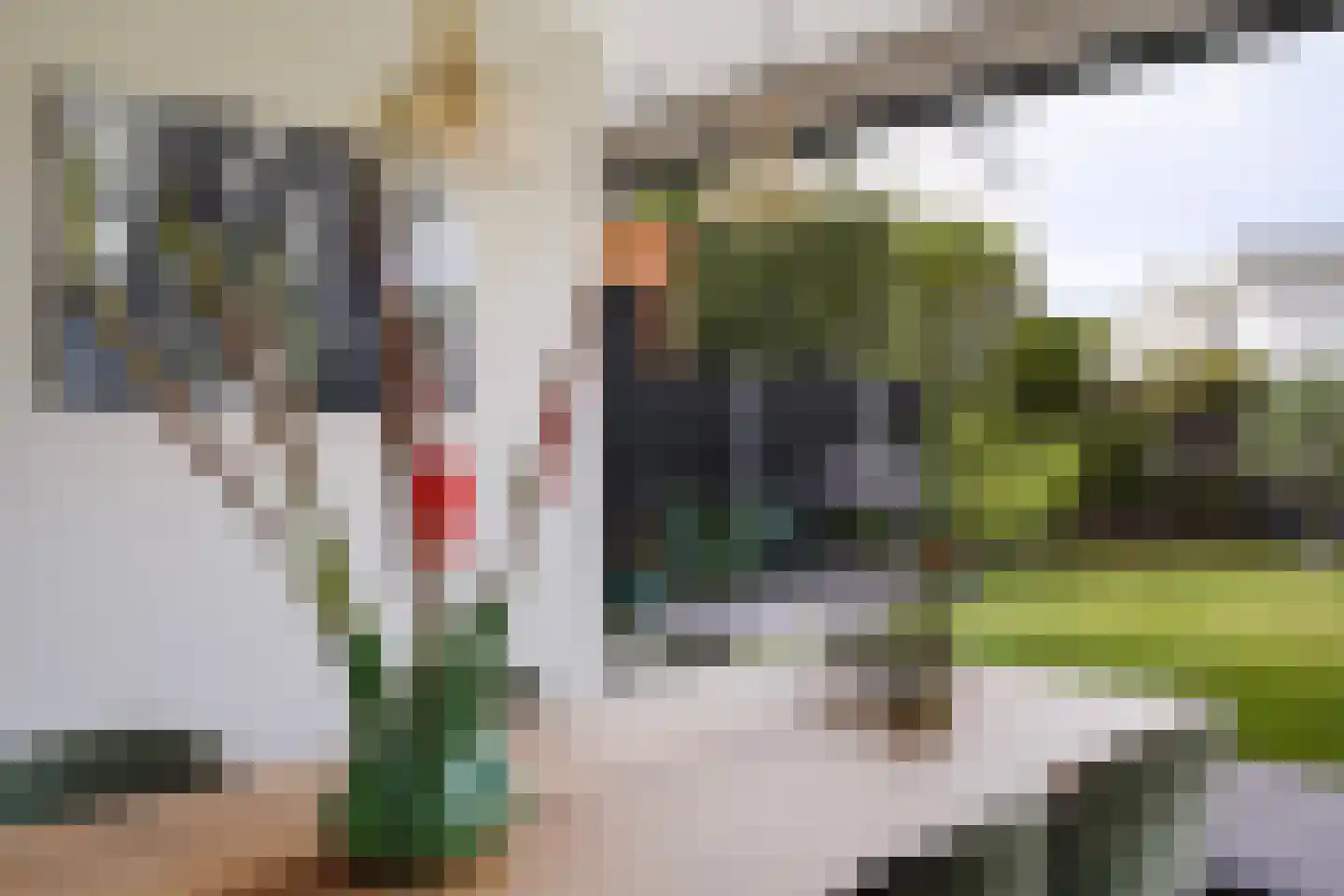 Adriana van Roonlaan 122 Den Haag thumbnail 36