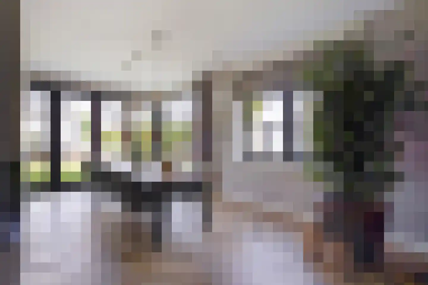 Adriana van Roonlaan 122 Den Haag thumbnail 37
