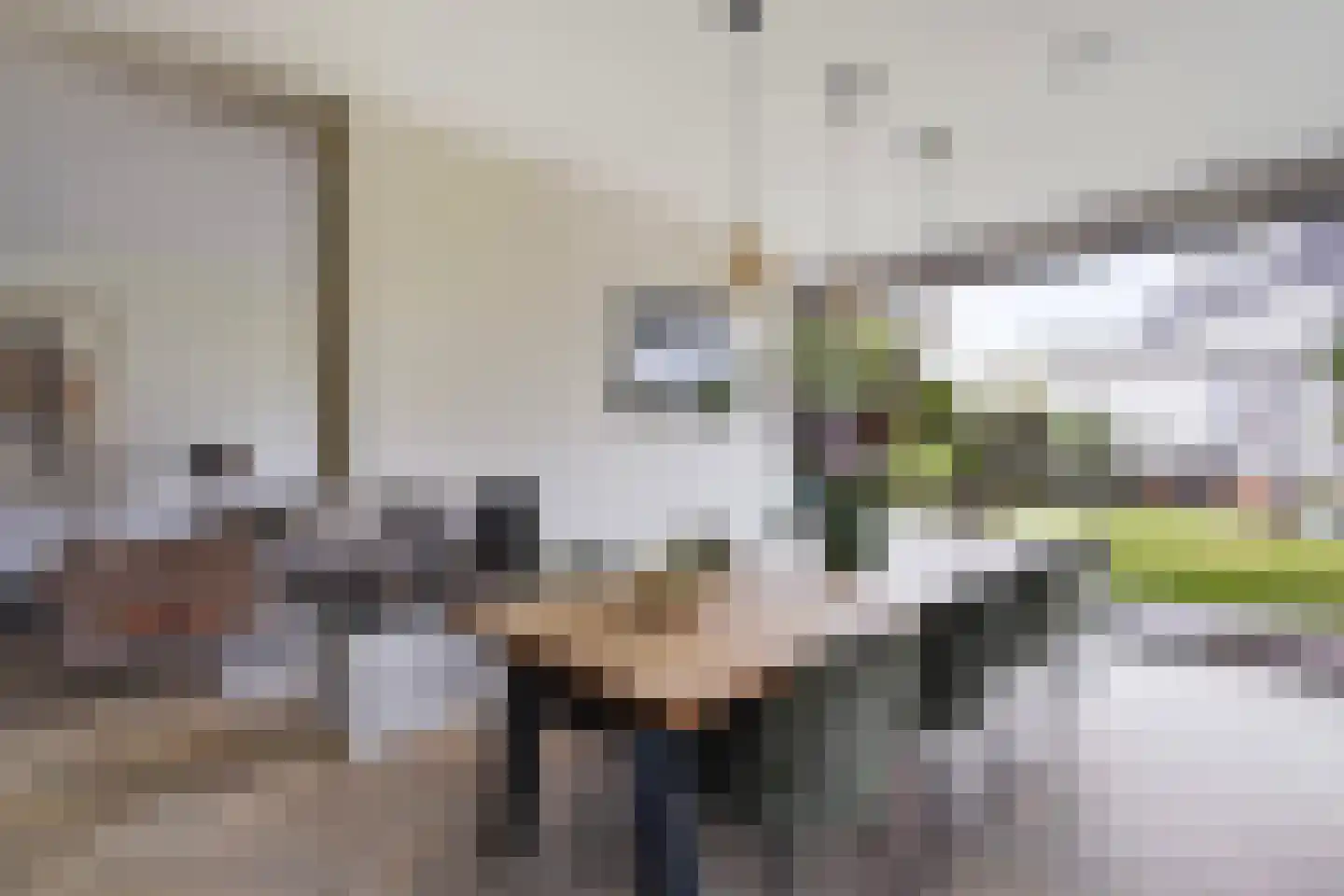 Adriana van Roonlaan 122 Den Haag thumbnail 38