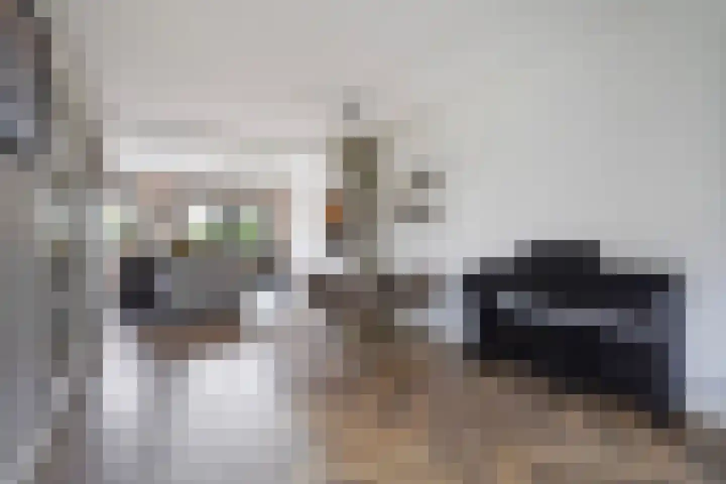 Adriana van Roonlaan 122 Den Haag thumbnail 39
