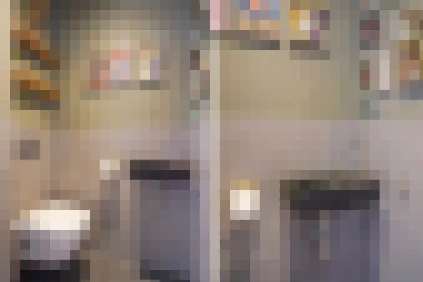 Adriana van Roonlaan 122 Den Haag thumbnail 41