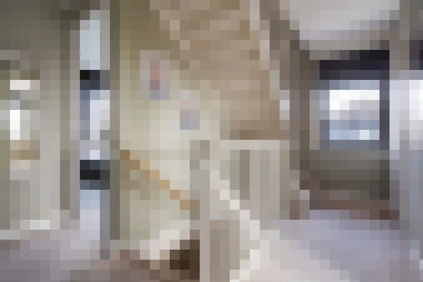 Adriana van Roonlaan 122 Den Haag thumbnail 42