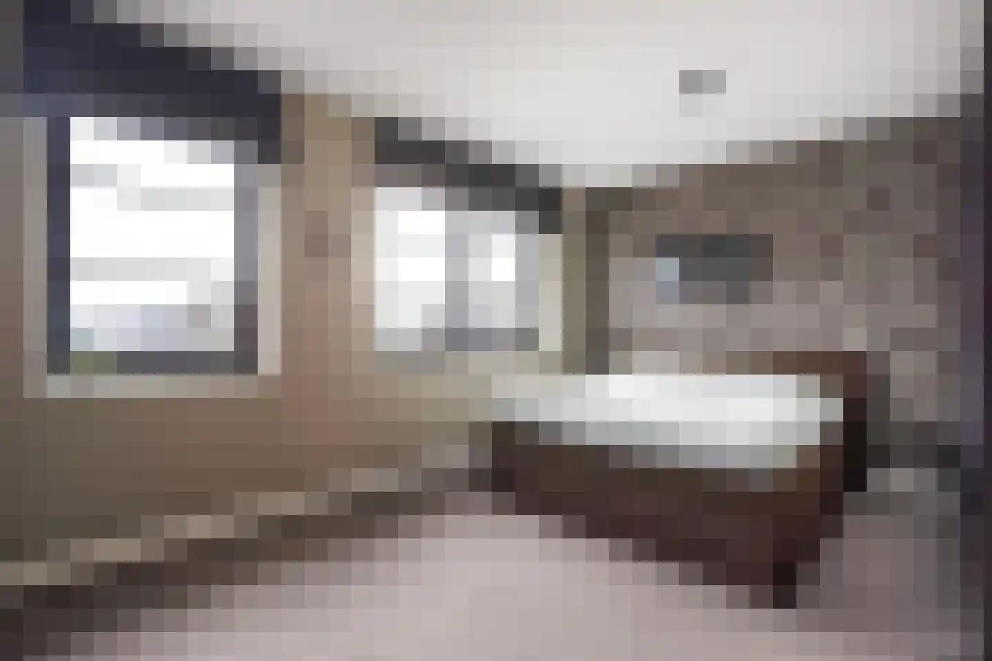 Adriana van Roonlaan 122 Den Haag thumbnail 43