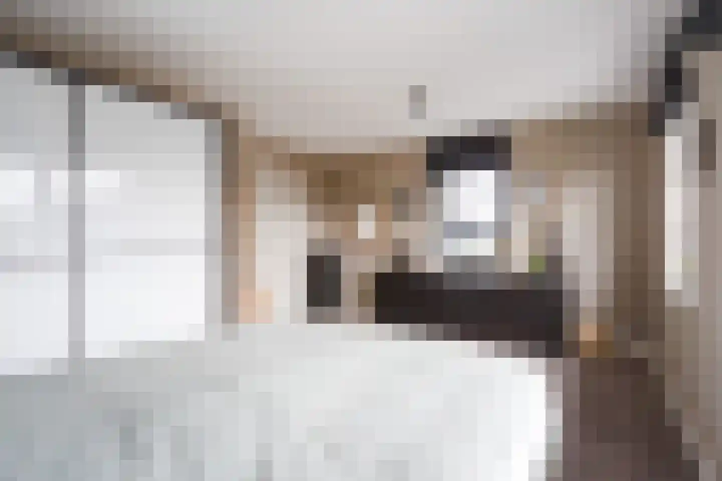 Adriana van Roonlaan 122 Den Haag thumbnail 45