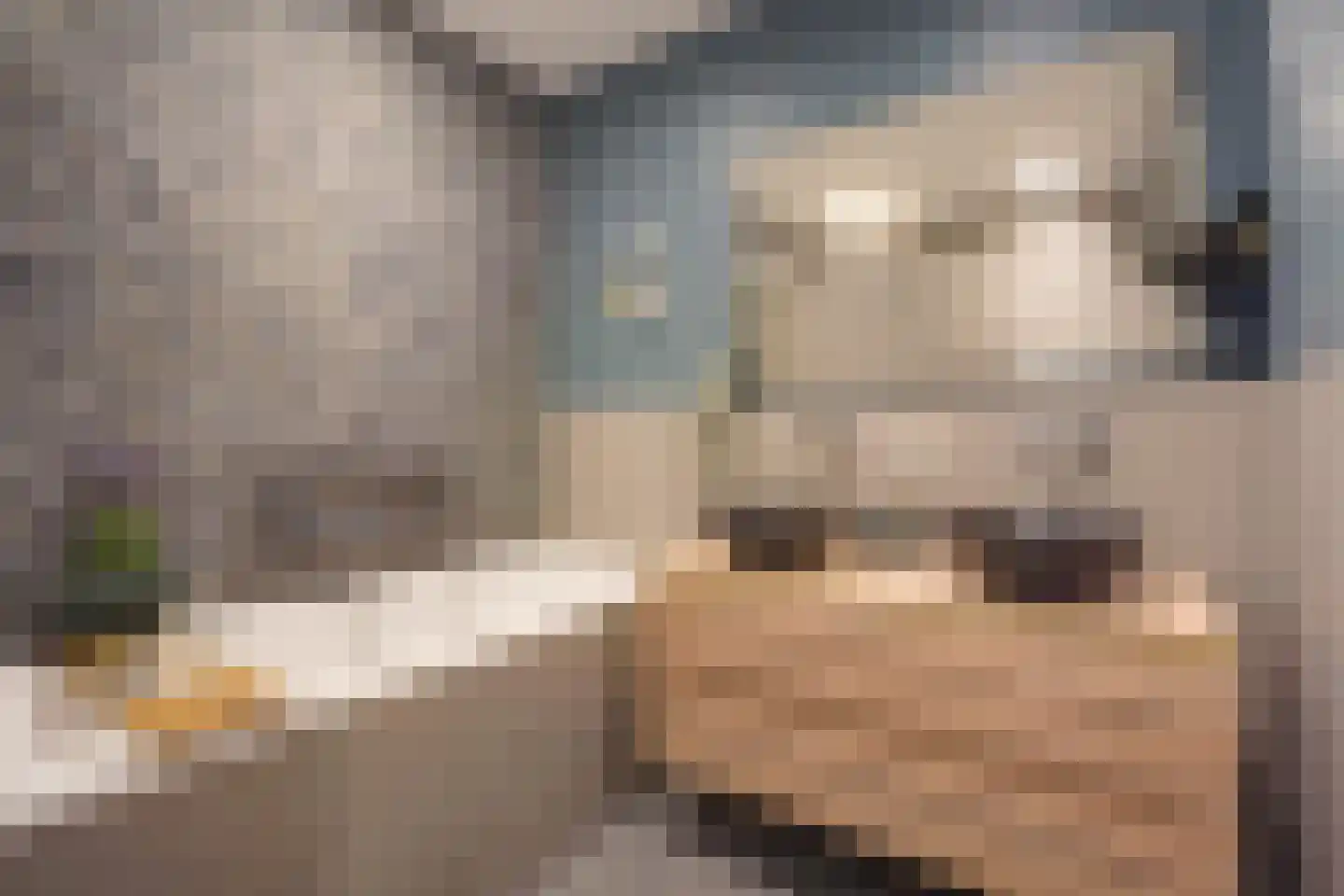 Adriana van Roonlaan 122 Den Haag thumbnail 46