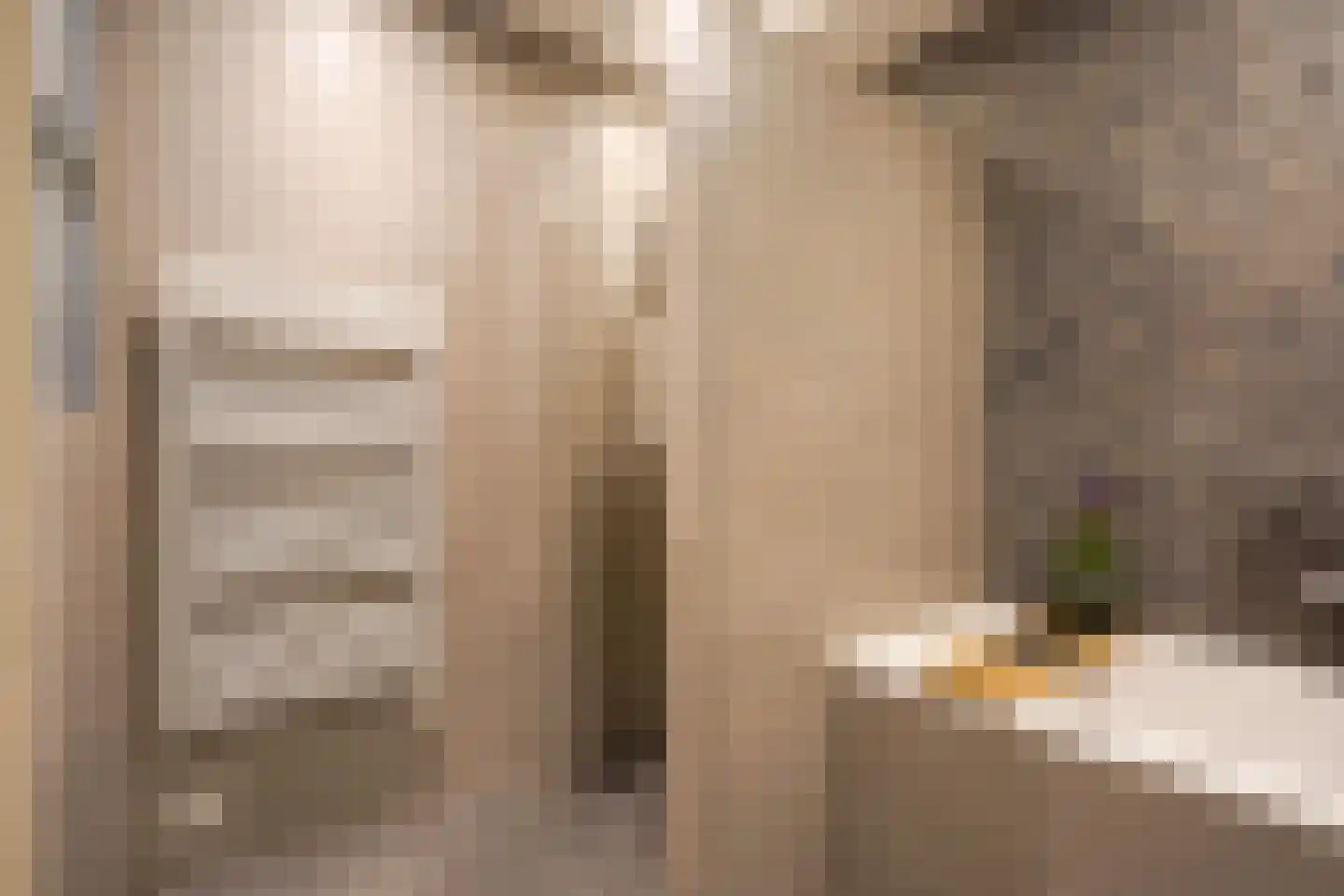 Adriana van Roonlaan 122 Den Haag thumbnail 47