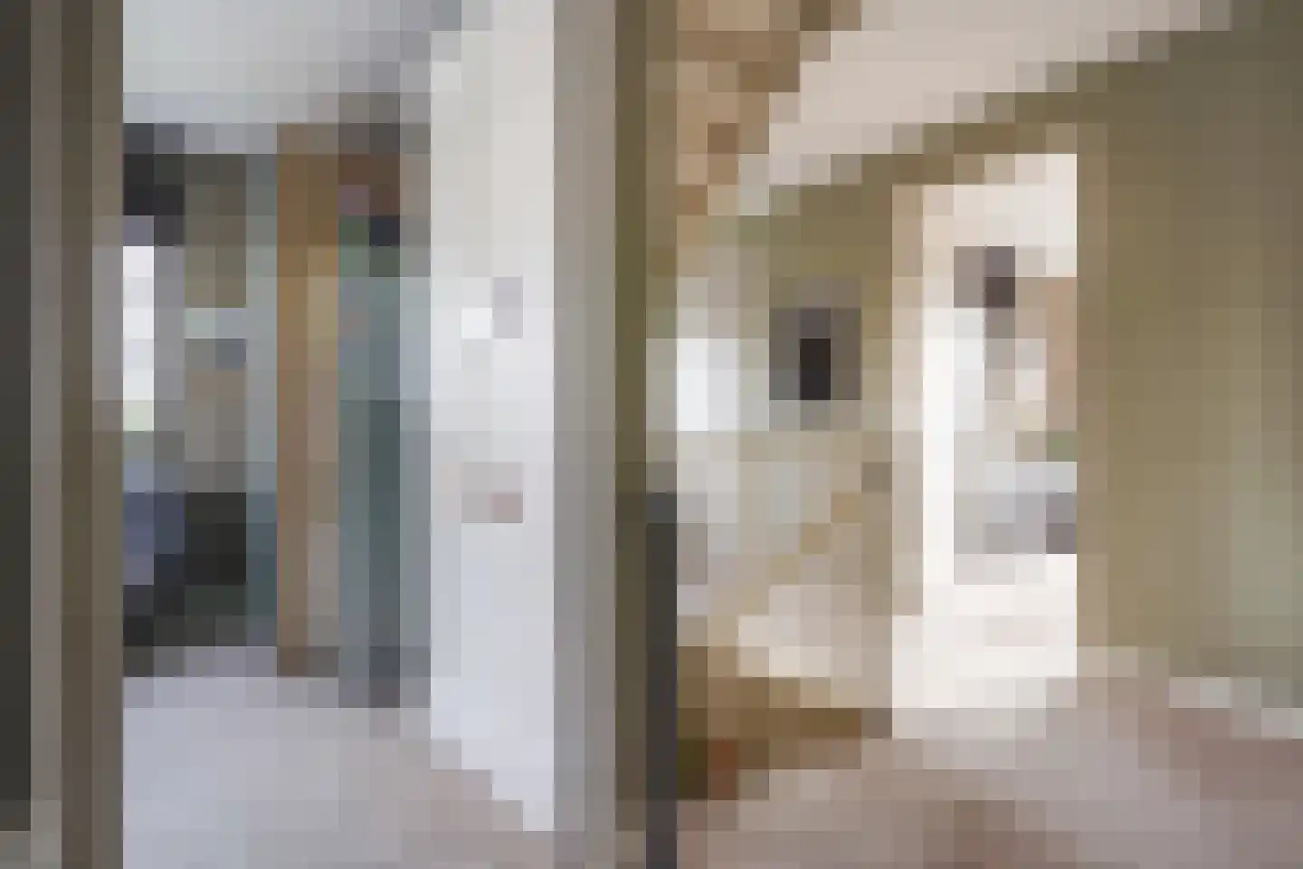 Adriana van Roonlaan 122 Den Haag thumbnail 52