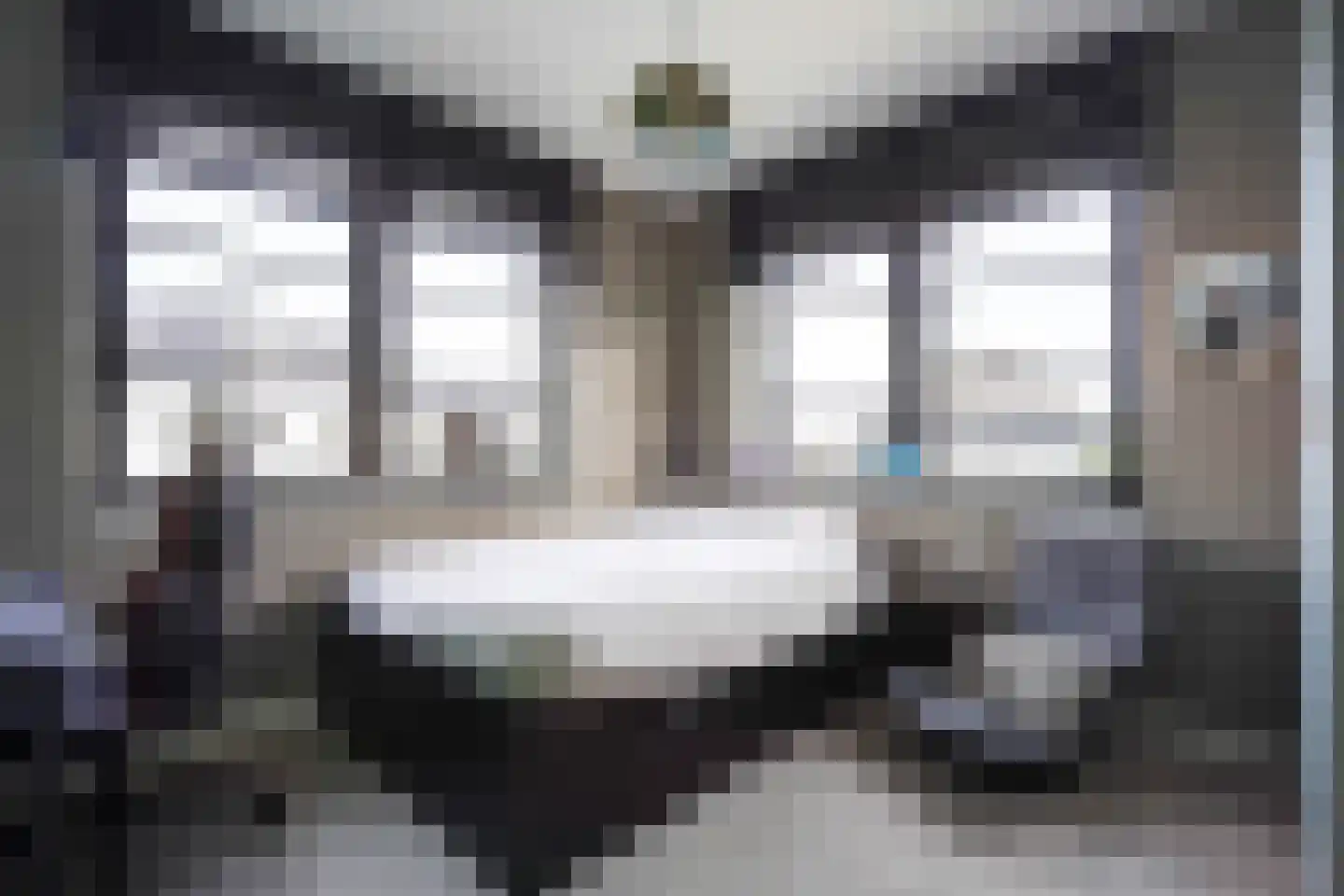 Adriana van Roonlaan 122 Den Haag thumbnail 53