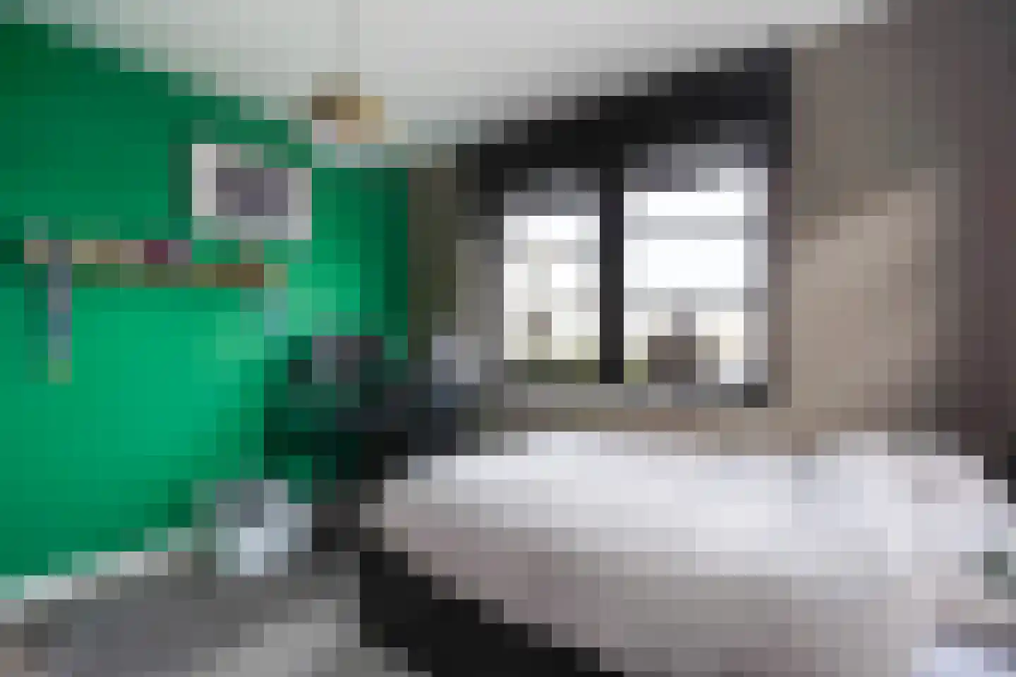 Adriana van Roonlaan 122 Den Haag thumbnail 54