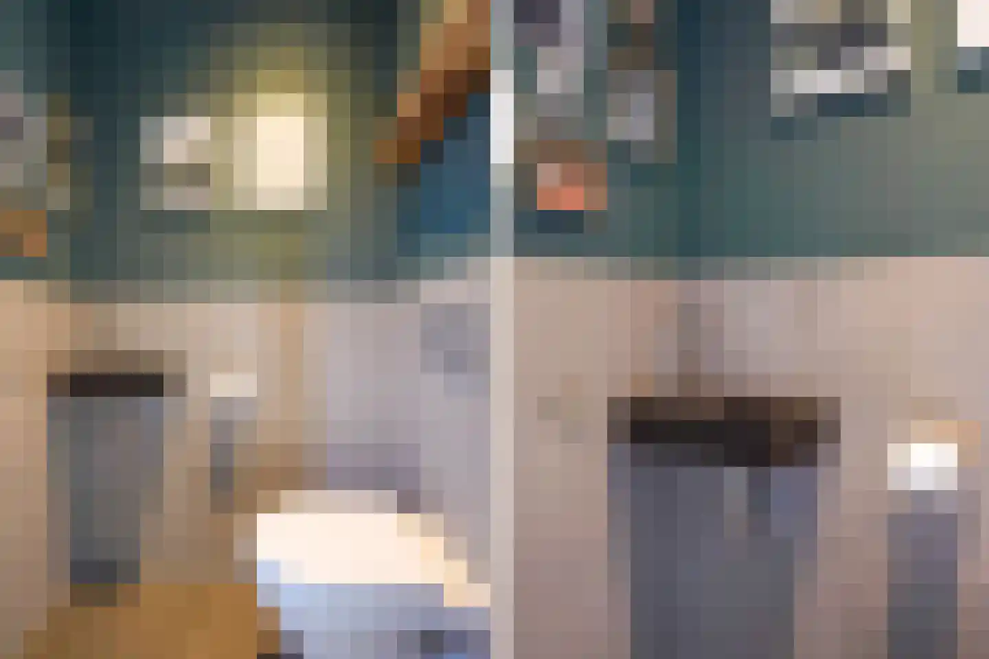 Adriana van Roonlaan 122 Den Haag thumbnail 56