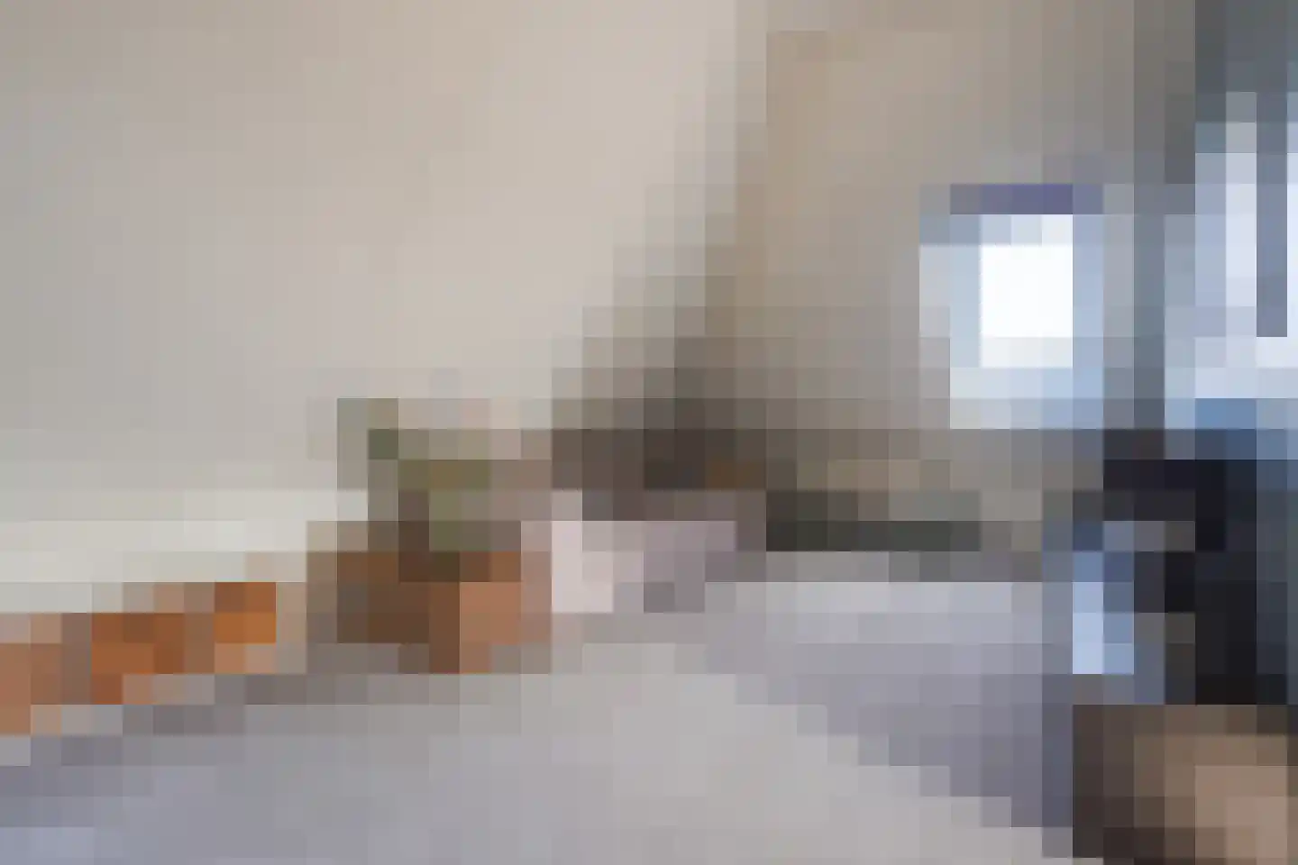 Adriana van Roonlaan 122 Den Haag thumbnail 58