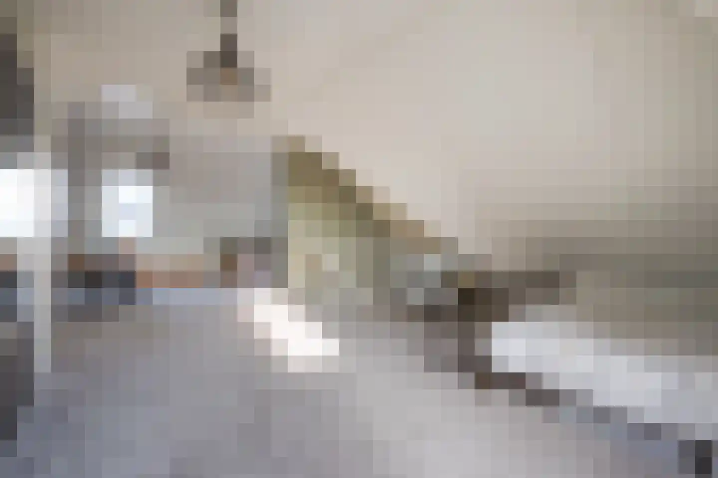 Adriana van Roonlaan 122 Den Haag thumbnail 64