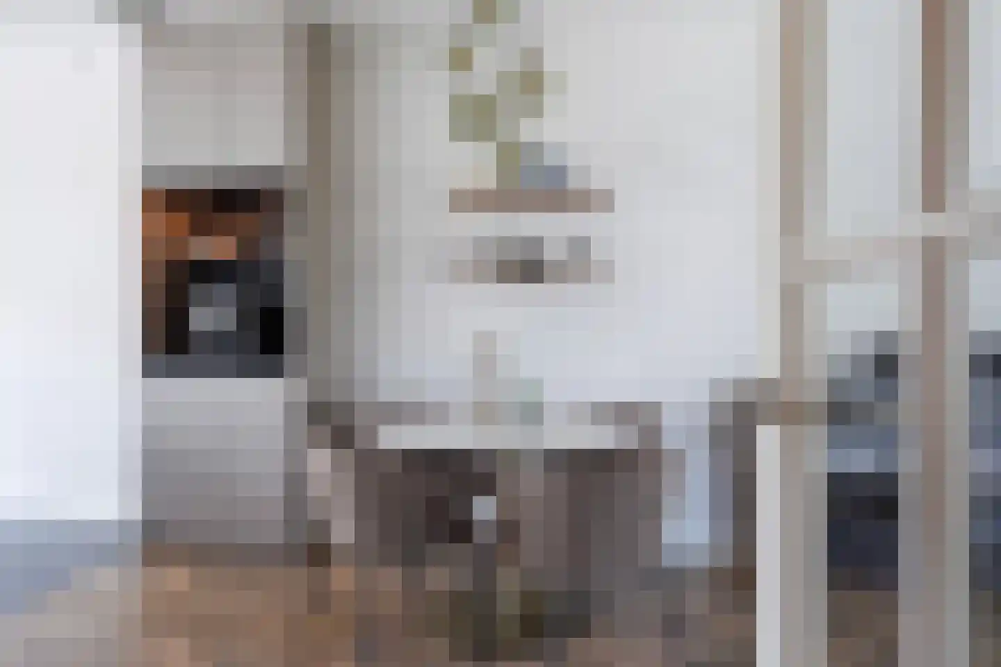 Adriana van Roonlaan 122 Den Haag thumbnail 8