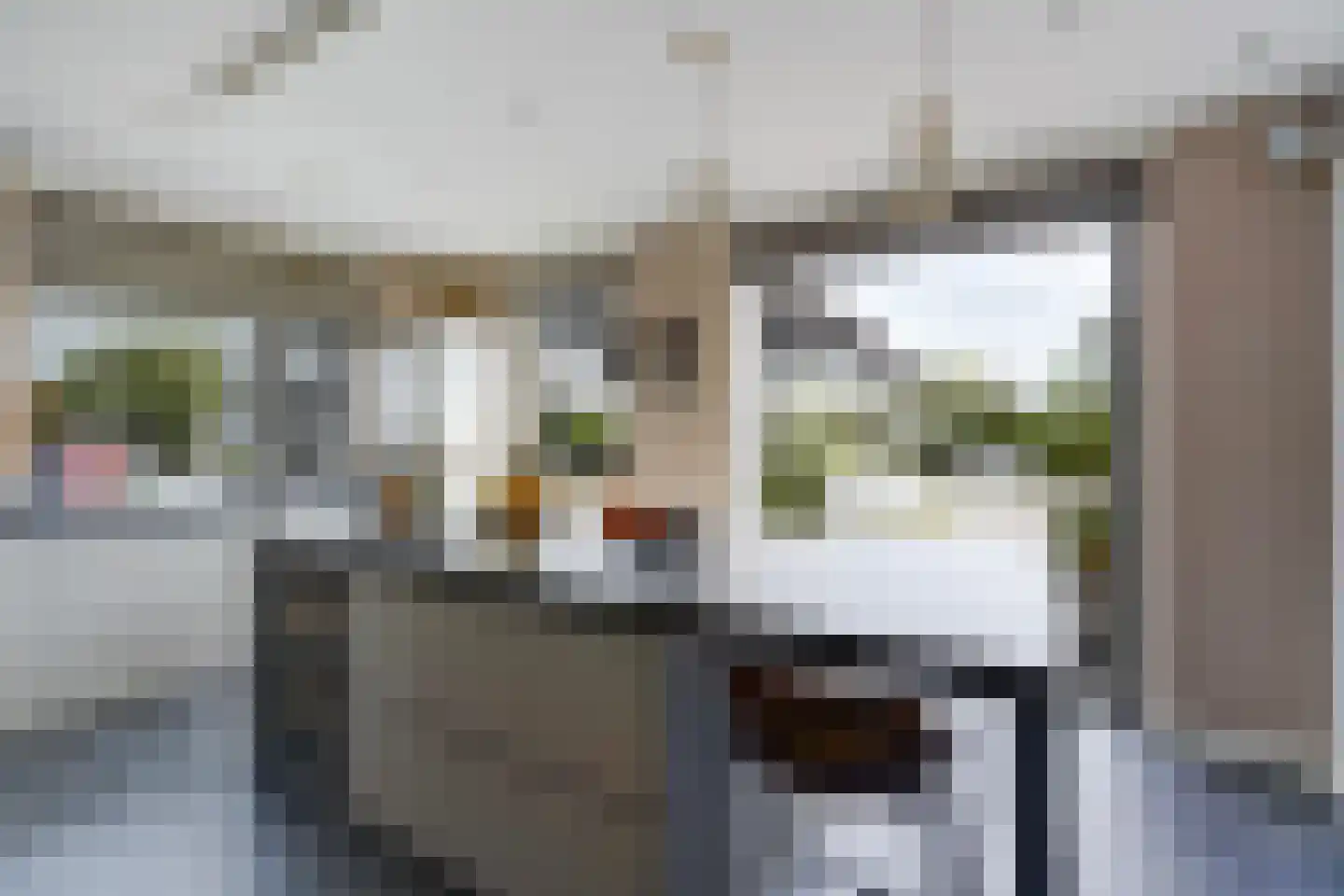 Adriana van Roonlaan 122 Den Haag thumbnail 9