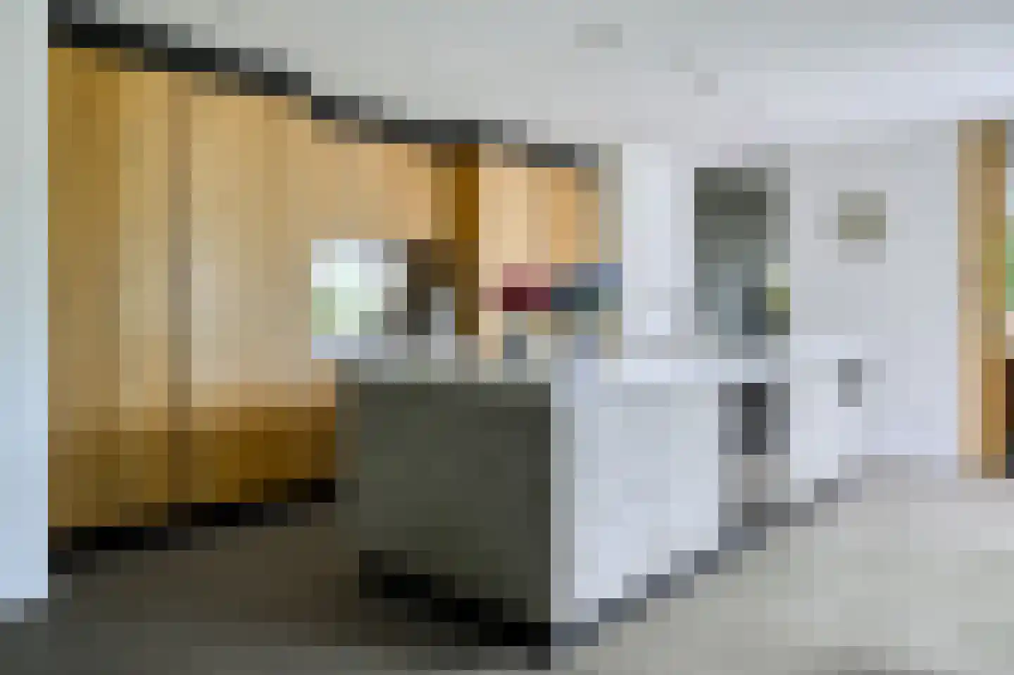 Adriana van Roonlaan 41 Den Haag thumbnail 4