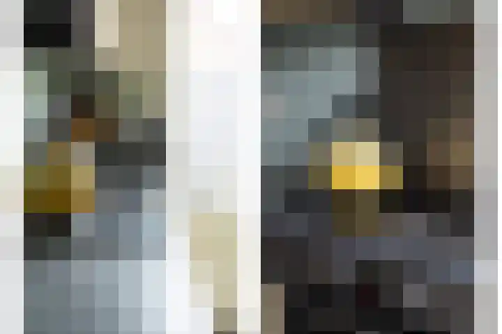Adrianalaan 101 B Rotterdam thumbnail 13