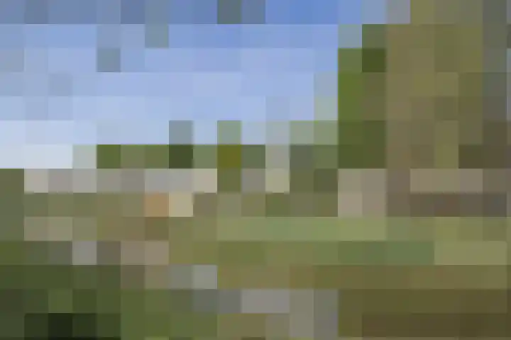 Adrianalaan 101 B Rotterdam thumbnail 22