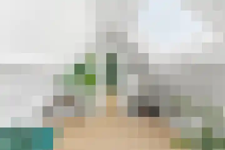 Adrianalaan 101 B Rotterdam thumbnail 31