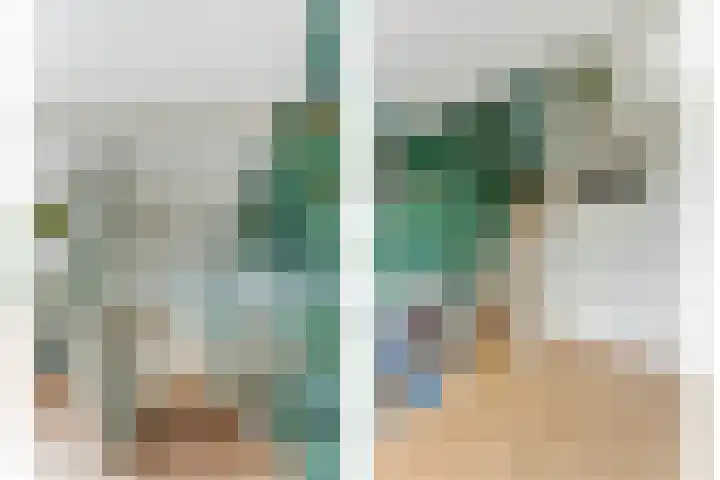 Adrianalaan 101 B Rotterdam thumbnail 33