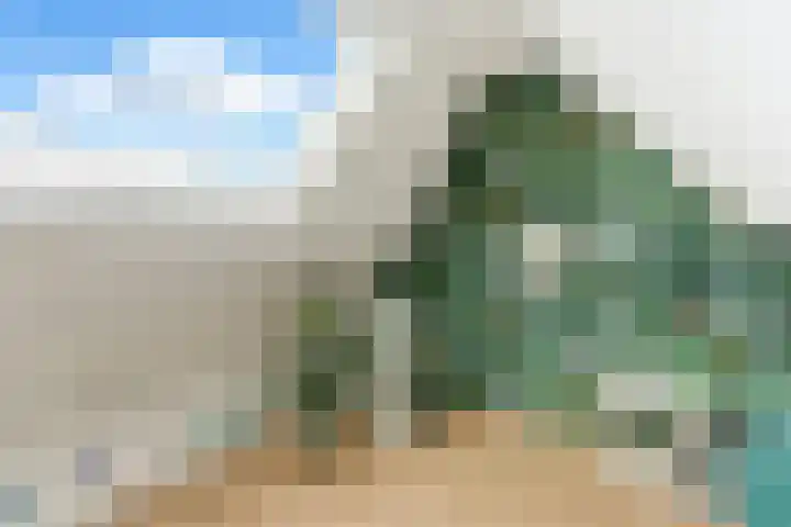 Adrianalaan 101 B Rotterdam thumbnail 34