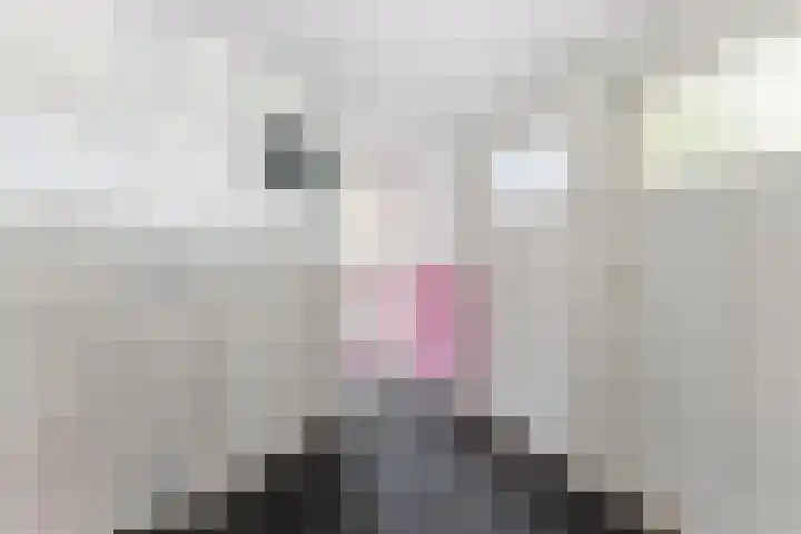 Adrianalaan 101 B Rotterdam thumbnail 35